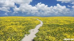 中国最具人气的摄影网站