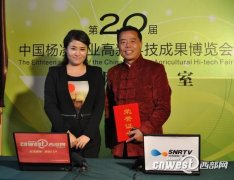 武功拟建苏绘文化产业园 打造手工布艺第一品牌(组图)