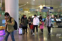 田亮一家现身机场 森碟森碗同框呆萌可爱(图)