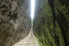 中国少年国学院