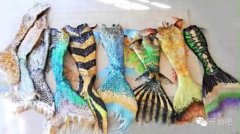 这世上真有在拯救海洋的《美人鱼》