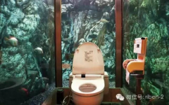 不得不服：日本人对厕所都这么上心