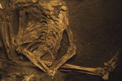 揭秘墨西哥死亡金字塔