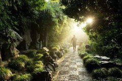 2015年11月上海公园活动汇总（图）