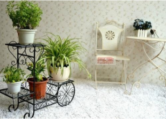 家居创意花架带来大魅力