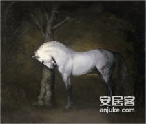 【美克嘉美湾】马术骑赏沙龙 –天津 楼市动态 – 58安居客