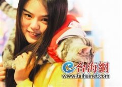 男生家成动物园建了猫博物馆 长得像林丹(图)