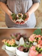 绿色装点家居 鸡蛋托和鸡蛋壳的妙用╭★肉丁园艺网