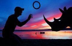 美艺术家自拍与动物剪纸绝美剪影