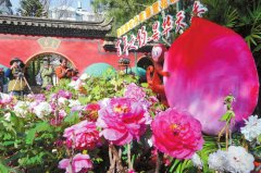 昆明8大公园系列活动贺新春