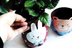 可乐喝完瓶子别扔 动手做个小花盆吧(组图)