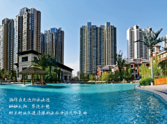 君河湾玫瑰花盆DIY香溢教师节