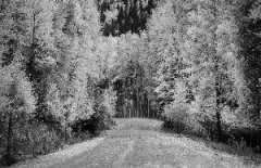 极简唯美的风光摄影(组图)