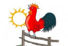 甘肃新东方：【大圣禧年】大年初一万事吉