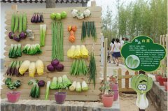 泾河新城·最美的茯茶小镇开园 非凡体验品美食感受陕商文化