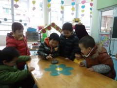 小动物的外形特点