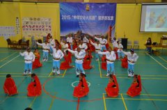 2015“中华文化大乐园——斐济苏瓦营”闭营(图)