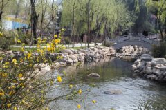 大连劳动公园改造全面竣工 迎春花卉展25日启幕