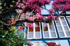 优美伤感的段落