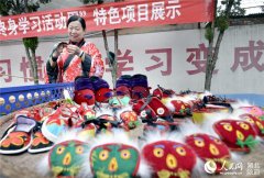 新洲民间绝活进校园