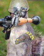 合成可爱的武装松鼠战士图片