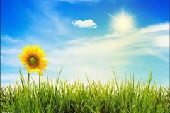 美丽的翡翠手镯是如何由其貌不扬的翡翠原石制作而