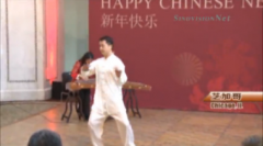 芝加哥庆新春中国年味浓皮影戏剪纸展获盛赞(图)