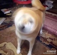 开学那些事儿：别跟我提开学，伤感情