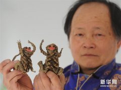 妙手生“猴” 组图