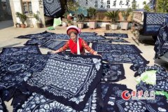 白族扎染 板蓝根的艺术