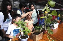 带娃去撒欢 别走北西二环