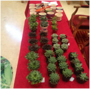 许家印带你邂逅美丽岛湾(组图)