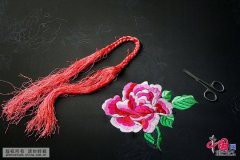 中国发展门户网－国家发展门户