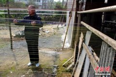 探访中国传统手工艺夏布的制作过程(组图)