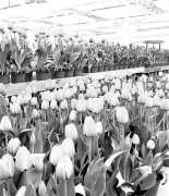 江苏大丰绿色发展演绎出城乡统筹新路径