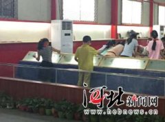 石家庄小学生体验传统手工绝活 赞非遗文化棒棒哒