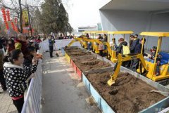 渭南文化大庙会热闹非凡 精彩面花等你来看(组图)