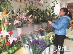 菊花批发价涨四成