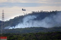 保卫风之谷？动漫大师宫崎骏反对冲绳美军基地