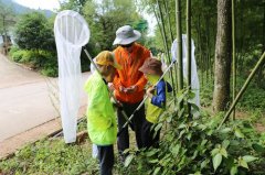 梦想in科学2014 暑期科考活动(图)