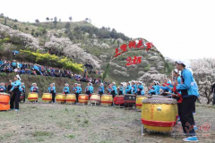 第三届三堡桐花节笑迎八方宾客