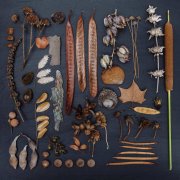 观念摄影：花涧