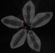 果汁LED灯自制过程