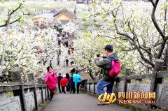 第十二届中国苍溪梨花节九大活动精彩纷呈（图）