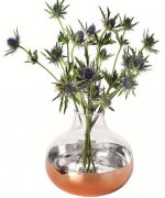 小花瓶，大创意，教你打造诗意家居