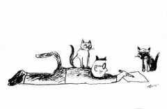 王老师的百猫图