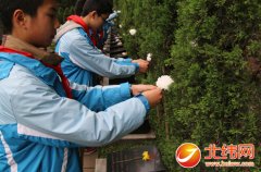 雅安：中小学开展“清明祭英烈”扫墓活动