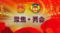 恒大城：世界森林日