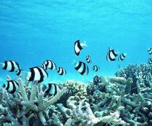 余秋雨经典爱情语录