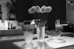 葛蕾玻璃之现代工艺